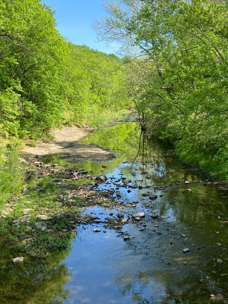 A view of the Hinkson creek with trees on either side reflecting in the water. Blue sky is also reflecting.